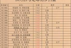 意大利甲级联赛 那不勒斯 对阵 AC米兰