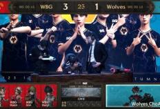 第五人格IVL：Wolves_ChoAi局均淘汰2.33，助力队伍战胜WBG战队！