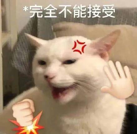 哈兰德：欧冠不好混，我要踢卢顿！